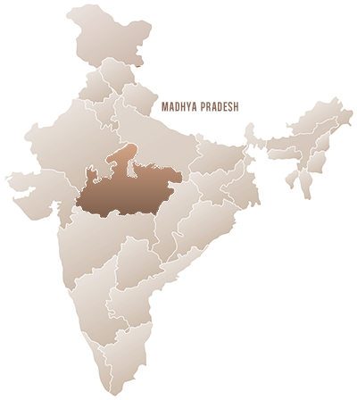 Rajasthan Map